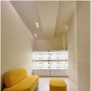 퍼피애견샵 이미지