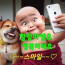 하비랜드 이미지