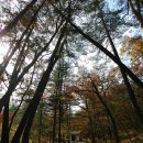 청암교 옆 | [사찰여행] 경북 김천 청암사 [靑巖寺]