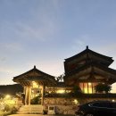 바실라 | 경주 불국사 근처 카페 바실라 애견동반 솔직후기