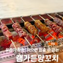 신길가든 | 서울 영등포 신길동 양꼬치 양갈비 맛집 램가든양꼬치 추천 | 육질이 너무 부드러워 반해버린 솔직후기