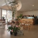 충주시 동수1길 4 | 충주 연수동 화분 구매 가능한 조용한 "식물 카페, 따숨" 내돈내산 솔직후기