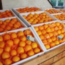 만용농장 이미지