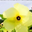농업회사법인 (주)고운블랙
