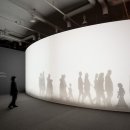 제주포도 이미지