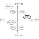 나폴레옹 - 비비안 에어볼륨브라 STP 전략 & 마케팅 믹스 이미지