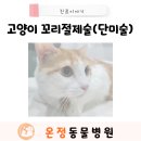 온정동물병원 네이버블로그