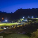 로카와 델피노2 이미지