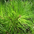 마을민박 이미지