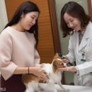 문화의거리 이미지