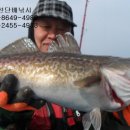 주문진 리조트 이미지