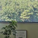 힐링요가 & 명상 | 창원 하도요가｜몸과 마음을 쉬게 하는 힐링 요가와 명상 클래스 후기