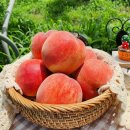 화순우체국 이미지