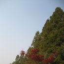 천안연암대학 이미지