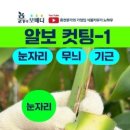 흙이보배다식물
