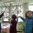 금호1가동 주민센터 이미지