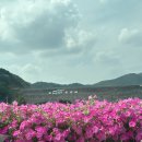 화양읍사무소 | 대구 근교 가볼만한곳 청도읍성 산책 (준비물 : 양산)