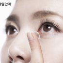 연세안경콘택트 이미지