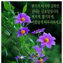 그림문자 이미지