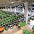 안성 농산물산지유통센터 이미지