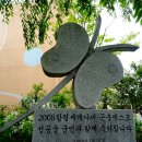 나비민박