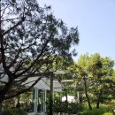 998 | [카페] 충남 천안시 카페목천 mokchen 방문 후기 🌿☕️