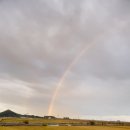 선운민박 이미지