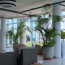 훈데르트힐즈 이미지