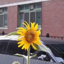 학익체육관 이미지