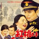 홍도야 우지마라 이미지