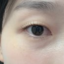 용산-420 | 용산속눈썹펌 내돈내산 르네41 추천 비포애프터 확실한 후기