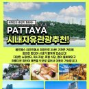 초이스골프 이미지
