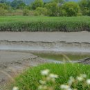 월롱초등학교 이미지