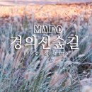 마포, 걷고싶은길 1코스 이미지