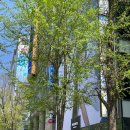 지에스25(GS25)동교타운점 이미지