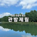 담양오방길4코스(싸목싸목길) | 국내 가을 단풍 나들이 여행지 추천 🍁 담양 관방제림 🍂