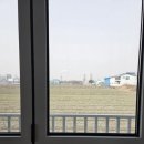 논강천 | [일상]군산 더 해수온천_더본 감자탕 본점