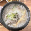 금성삼계탕 | 더운여름 부산시청점심 금성녹두삼계탕에서 몸보신 후기