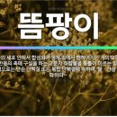 (효소) 10. 효소에 피는 곰팡이 이미지