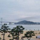 광안초교병설유치원 이미지