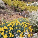 공곶이해변 이미지