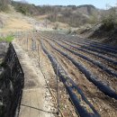 덕산면043 이미지