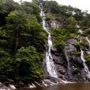 늘푸른계곡 이미지