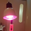 송파 | 잠실탈모 모바이오 송파문정점 후기