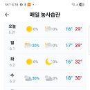 일산 주영역 태영 프라자 이미지