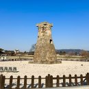 경주 가볼만한곳 야경 명소 신라시대 천문관측소 첨성대 비단벌레차 관람 솔직후기