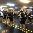 레드짐복싱 이미지