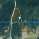 곰솔부동산공인중개사사무소 이미지