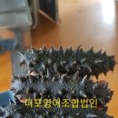 미포영어조합법인 이미지