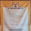 명곡동439 | 양산 애견 운동장 &amp; 루프탑이 있는 애견카페 (안다미로) 강력 추천!